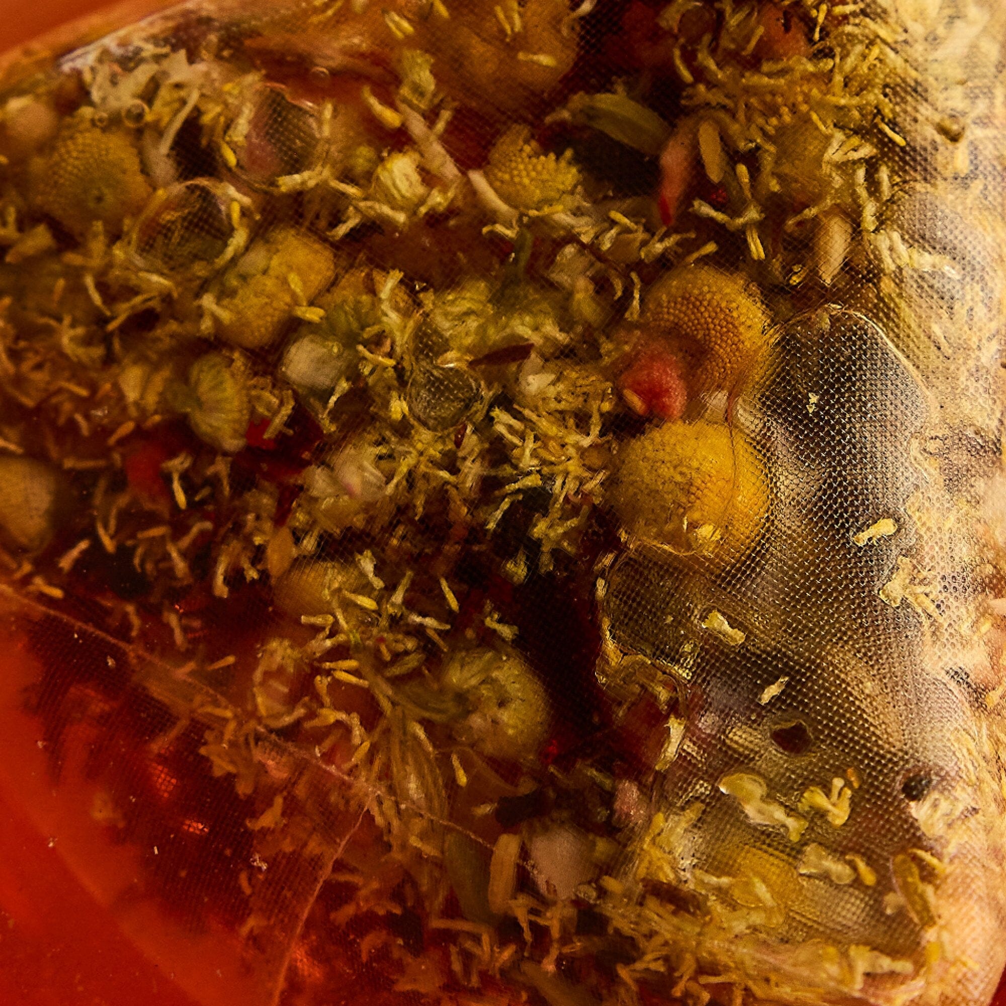Close-up of a Rishi Tea & Botanicals individually wrapped, pyramid-shaped tea bag with dried chamomile flowers and herbs, partially submerged in water.