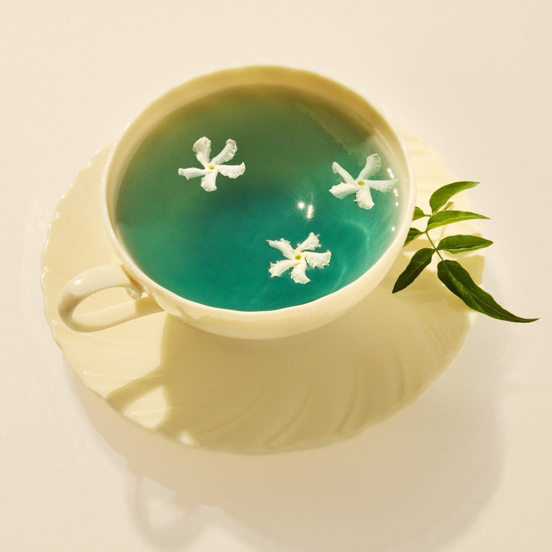 Blue Jasmine