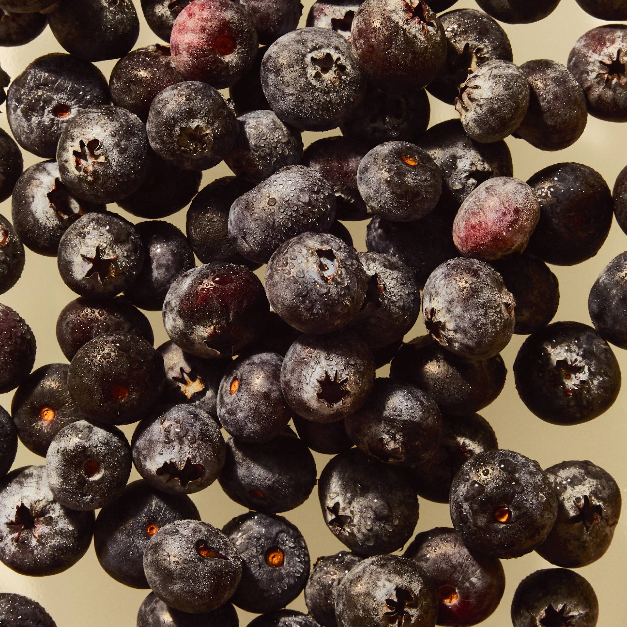 Blueberry Hibiscus