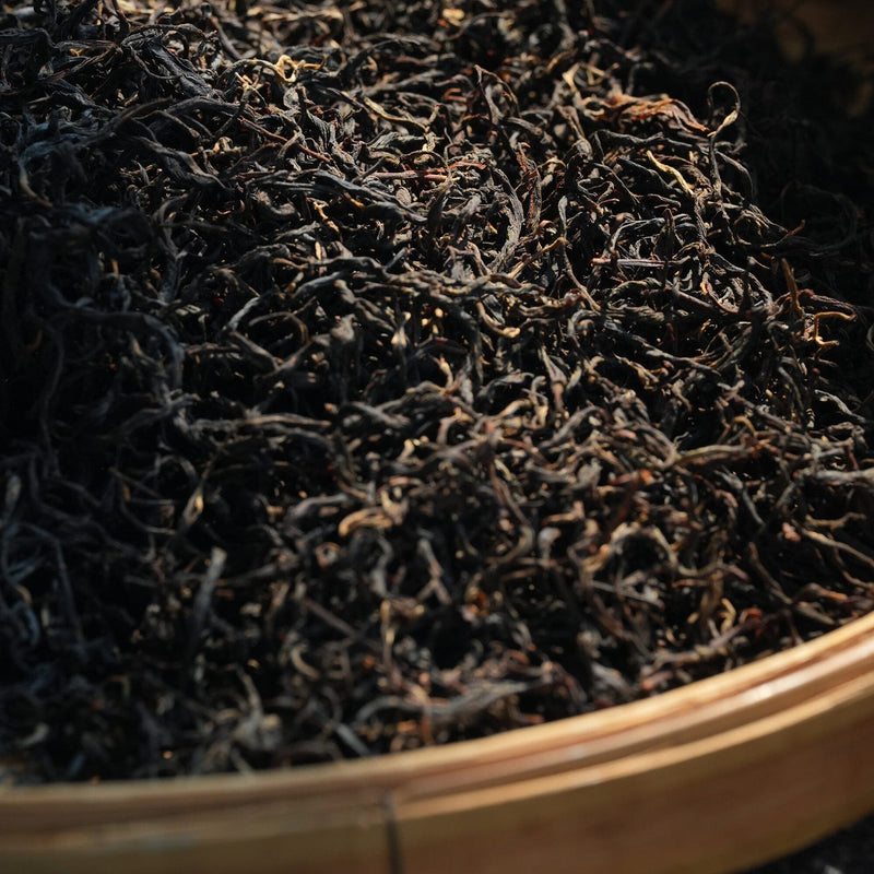 Yunnan Purple Buds