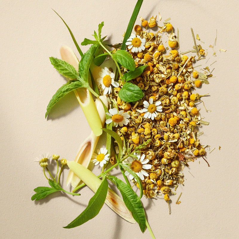 Chamomile Medley