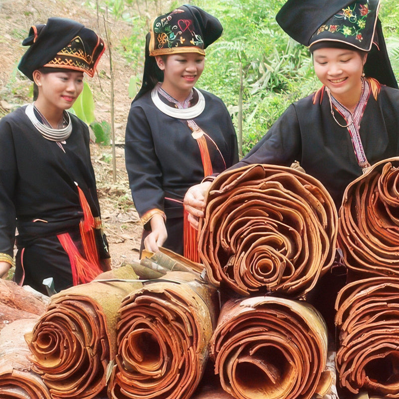Cinnamon Tulsi Spice