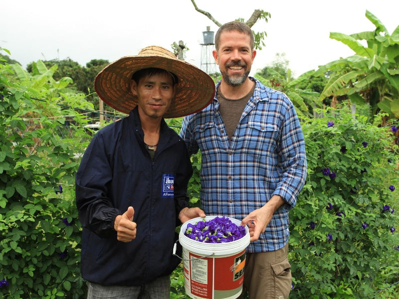 Two persons standing in the tea farms