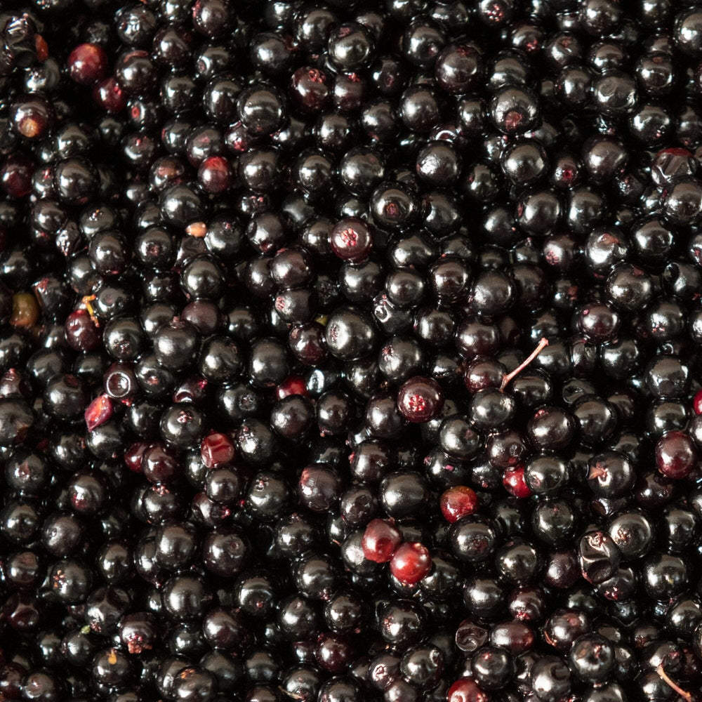 Elderberry Healer