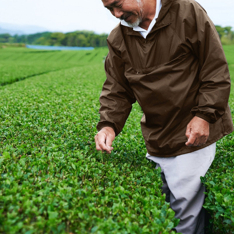 Genmaicha