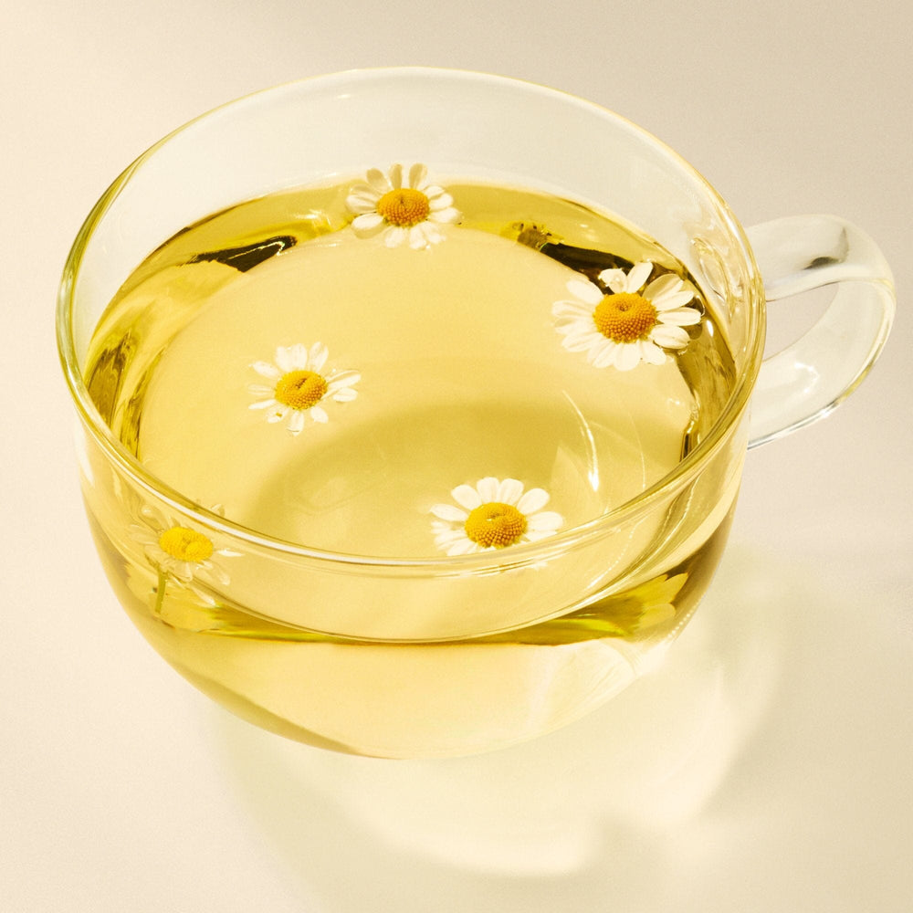 Golden Chamomile Blossoms