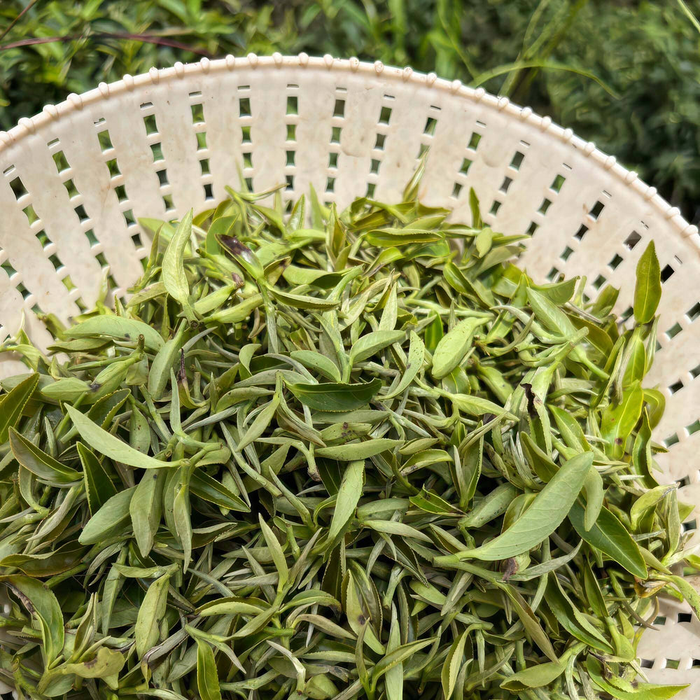 Dong Fang Hong