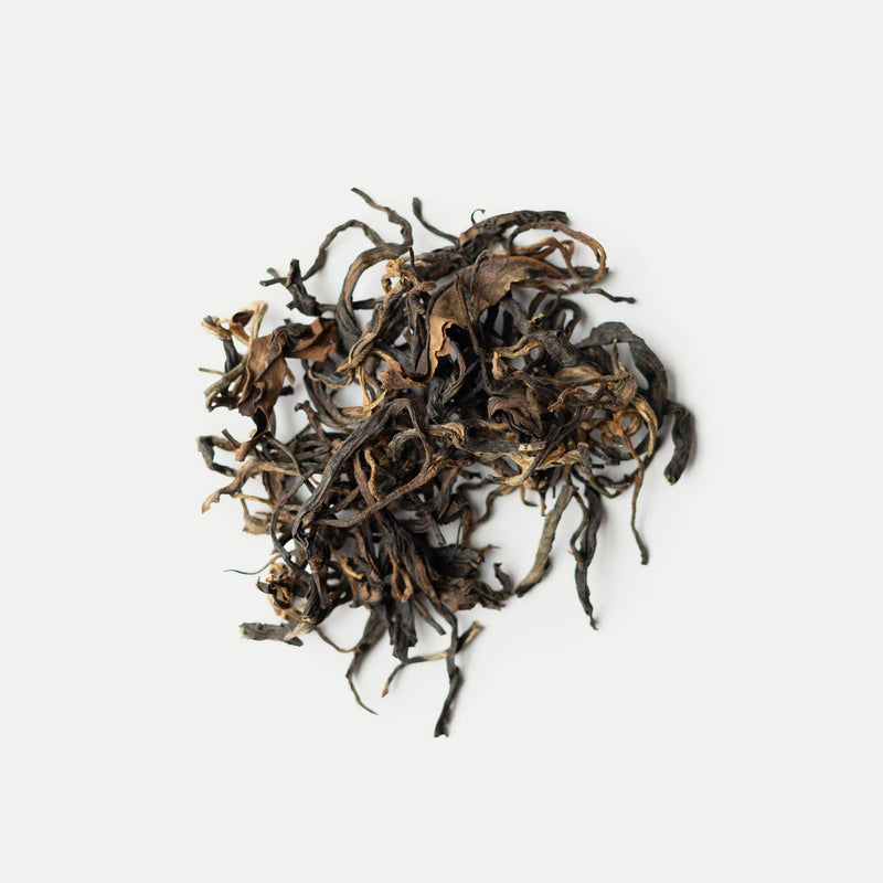 A pile of loose, dried Snow Shan black tea leaves on a plain white background.