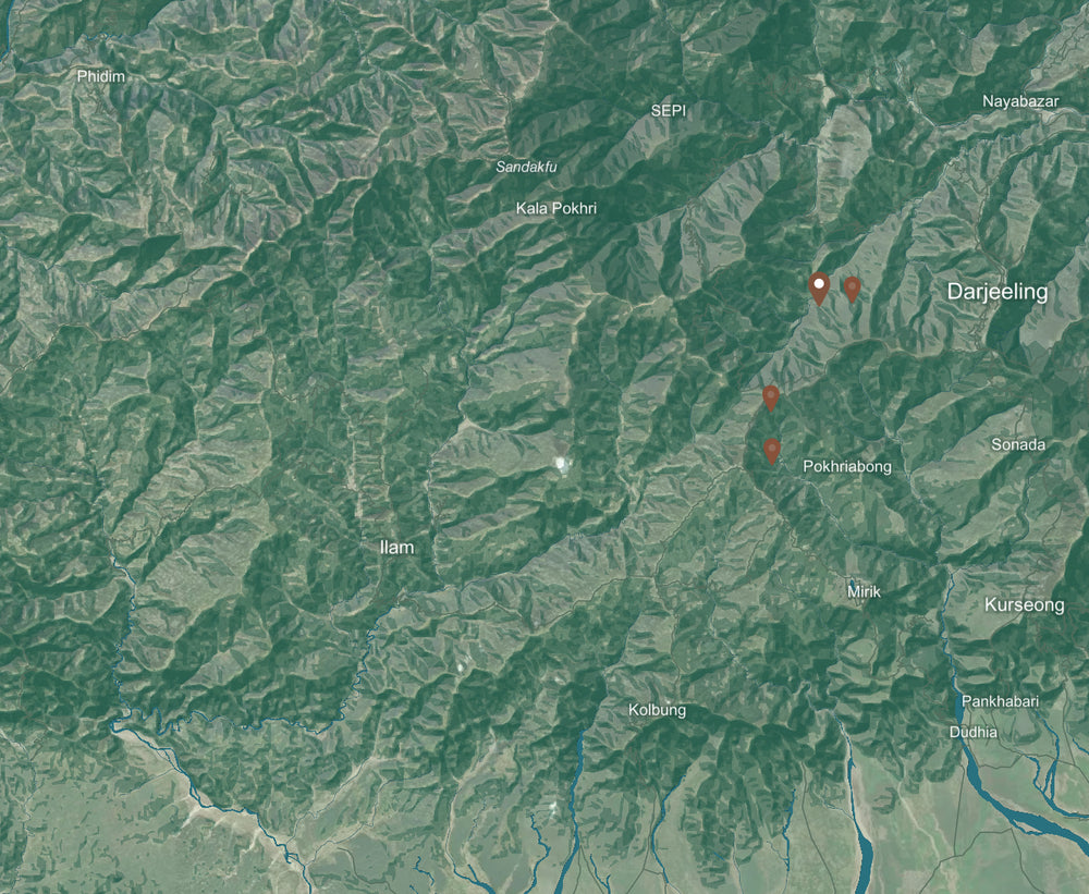 Darjeeling, India background map mobile