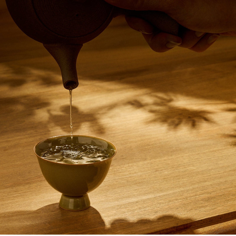 Nishi Sencha First Flush hover image