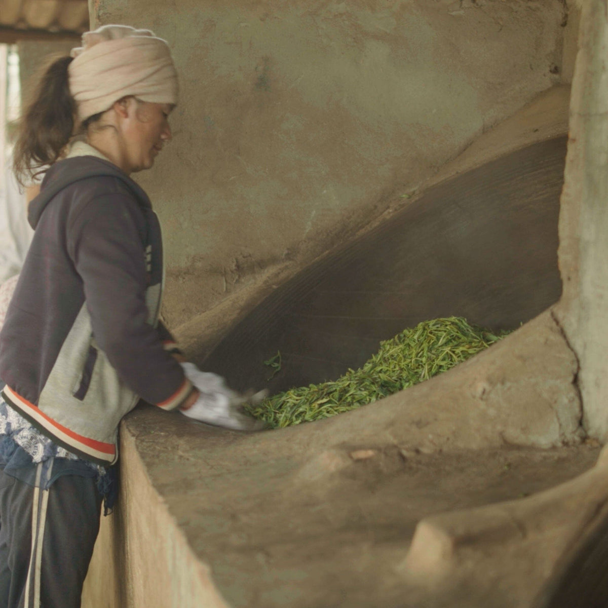 A woman is brewing Laos Sheng Pu’er Tea Cake Vintage 2022 in a pot, harnessing the Cha Qi energy. Brand: Rishi Tea & Botanicals.