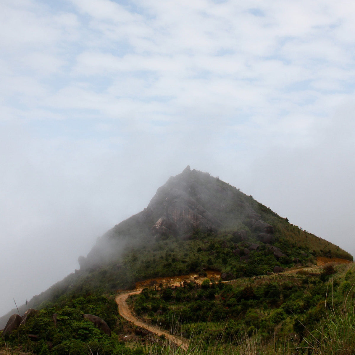 A winding dirt path leads up a misty, green mountain under a partly cloudy sky—evoking the tranquil slopes where Rishi Tea & Botanicals' Phoenix Mountain oolong is grown.