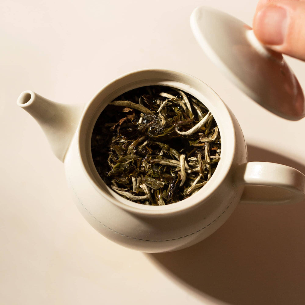 Magnolia White Tea