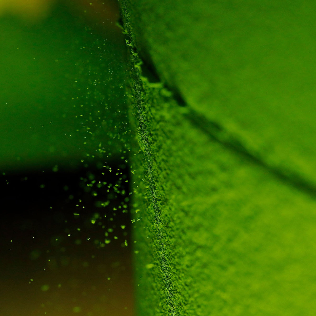 Close-up of Rishi Tea & Botanicals Uji matcha powder brushed off a textured green surface, with fine dust in the air and vibrant hues suggesting subtle gyokuro notes.
