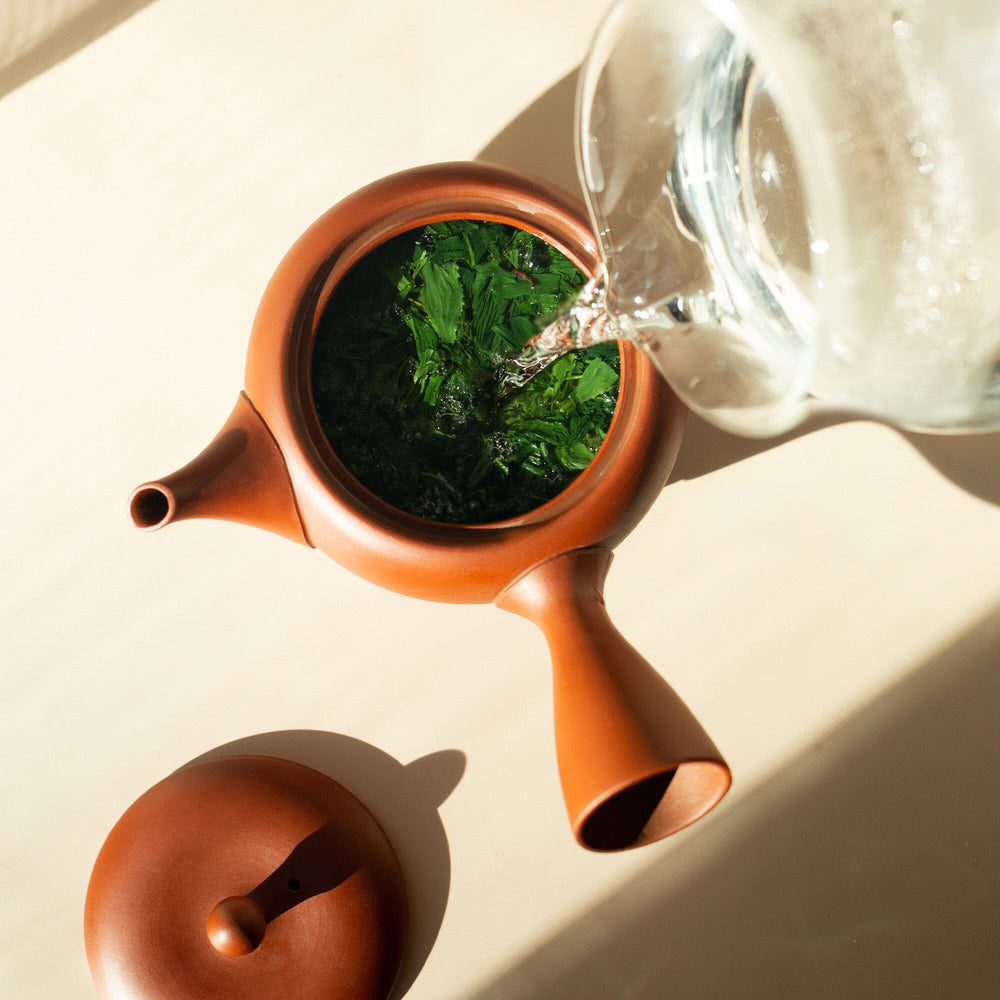 Nishi-san's Gyokuro