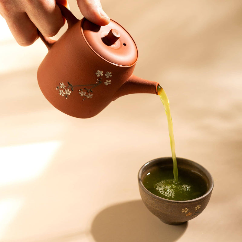 Sakura Tokoname Teaware hover image