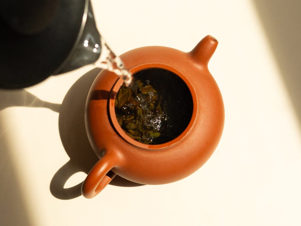 Hot water is poured from a kettle into a small, brown clay teapot filled with Rishi Tea & Botanicals Phoenix Dancong oolong tea leaves, all beautifully illuminated by natural sunlight.