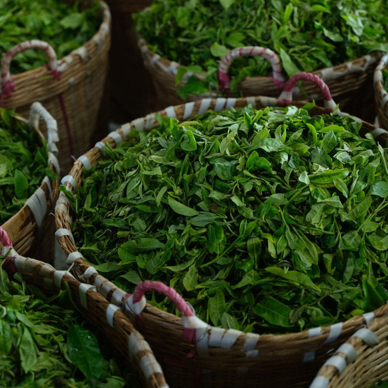 Pu'er Tuo Cha Tangerine Peel hover image