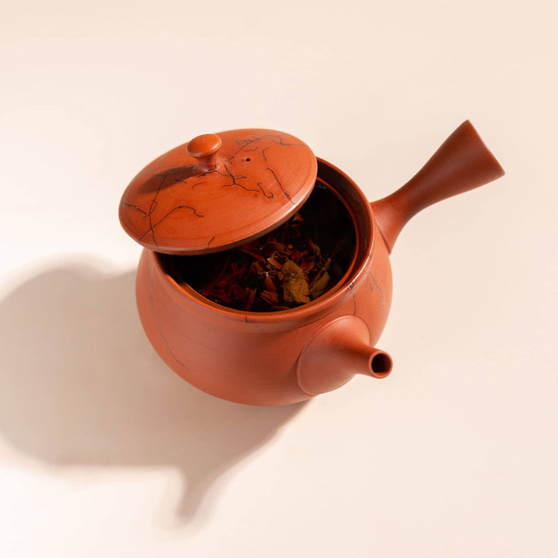 A terracotta-colored ceramic teapot with a matching lid, shown open with dried tea leaves inside, set against a warm off-white background with a soft shadow.