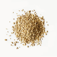 Ginger-image