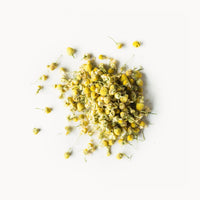 Golden Chamomile Blossoms-image
