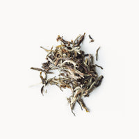 Moonlight Jasmine-image