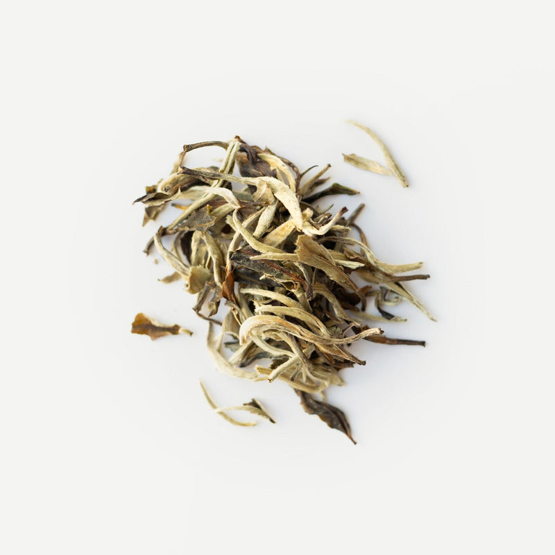 A pile of Organic Magnolia White Tea from Rishi Tea & Botanicals with floral scent and honey sweetness on a white background.