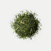 Onitsuka Shincha Haruto-image