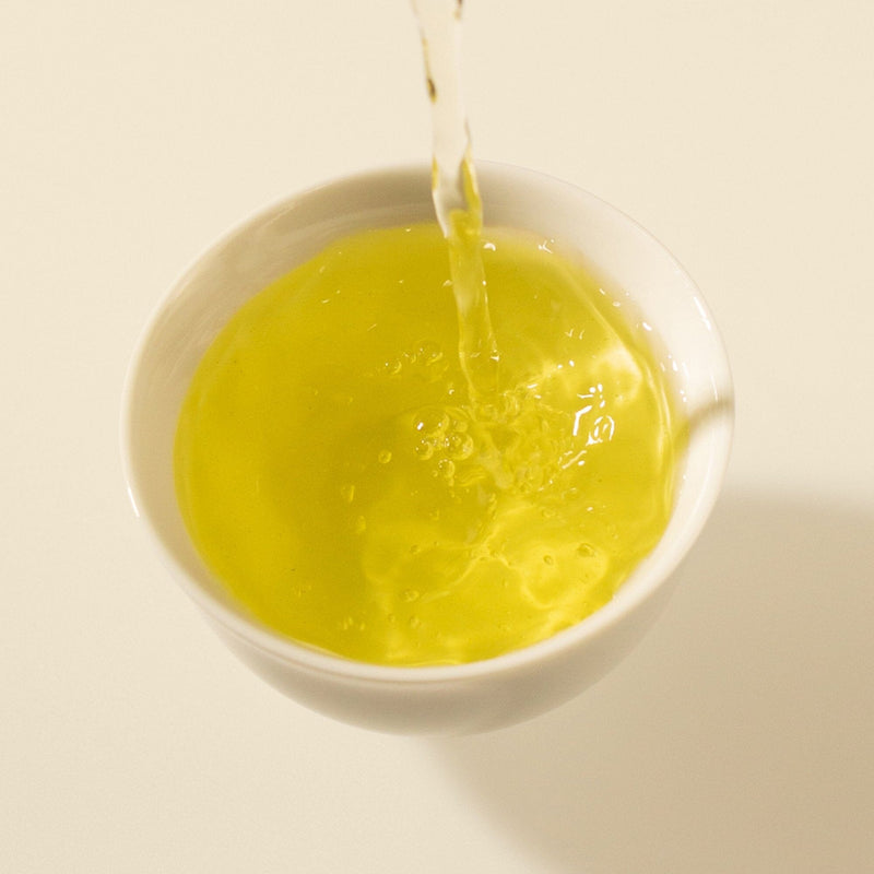 Sencha