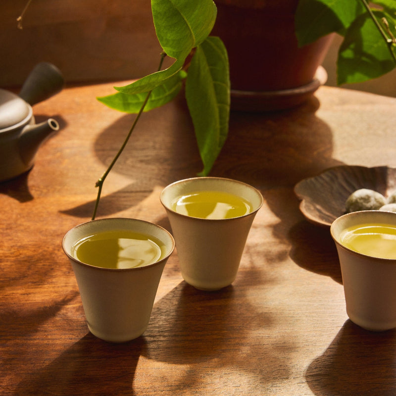 Sencha