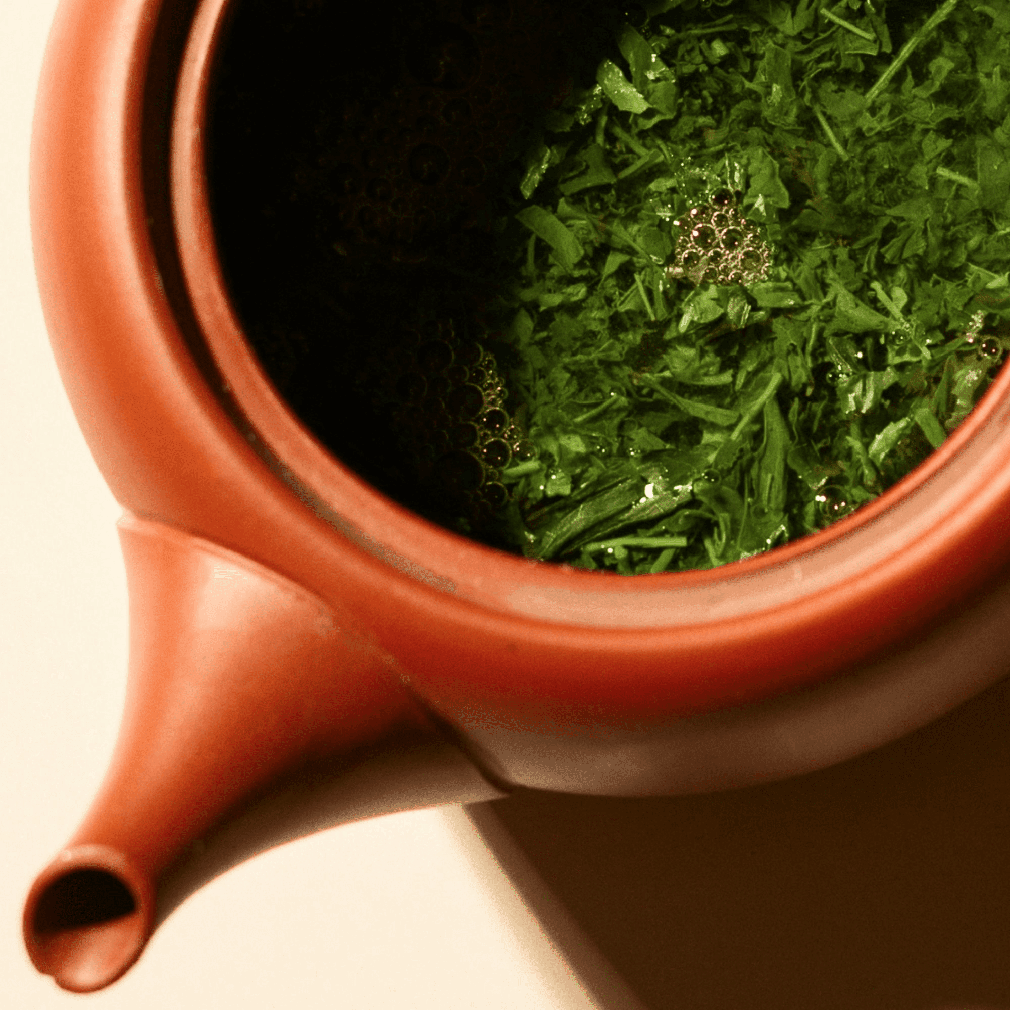 Sencha