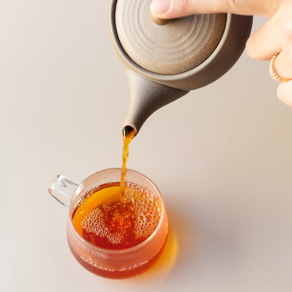 Shinmaru Tokoname Teapot