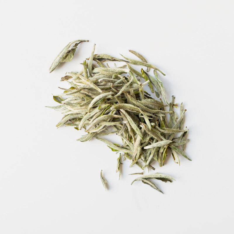 A small pile of loose, dried Fuding white tea leaves from Rishi Tea & Botanicals on a white background, highlighting their delicate textures and subtle floral nuances.