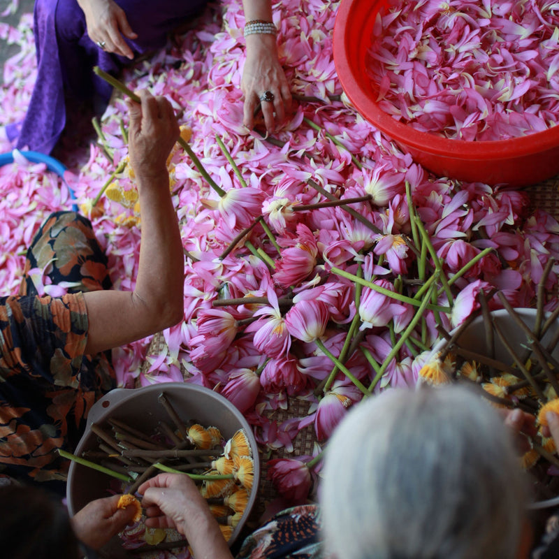 Several people sit around baskets and a red bin, sorting pink lotus flowers and petals used for making traditional Vietnamese tea, all spread across the floor.